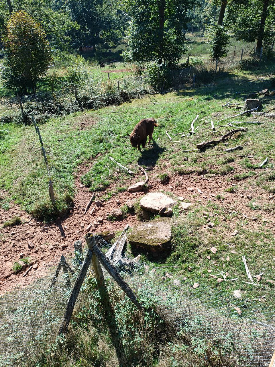 Wildpark_2c_14.jpg